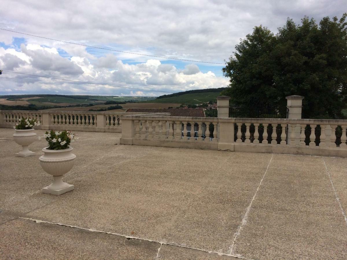 Chambres D'Hotes Karine Smej Châtillon-sur-Marne 外观 照片