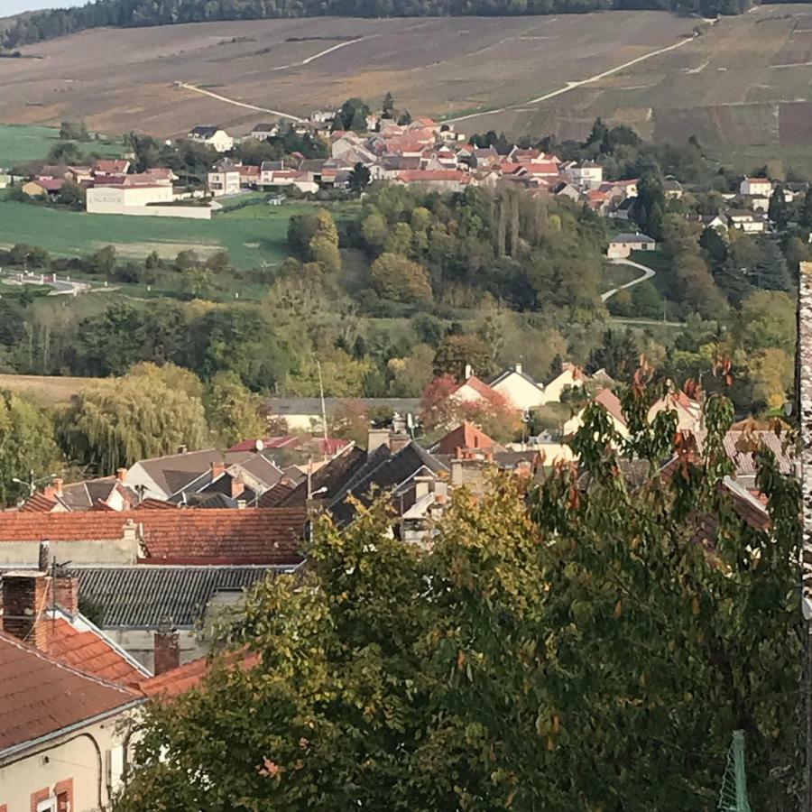 Chambres D'Hotes Karine Smej Châtillon-sur-Marne 外观 照片